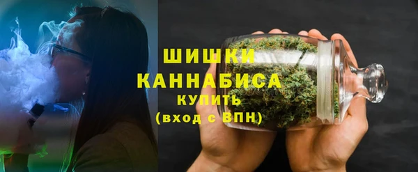 твердый Гусев