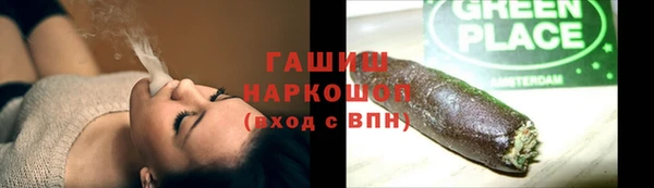 твердый Гусев