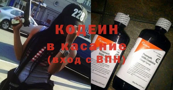 твердый Гусев