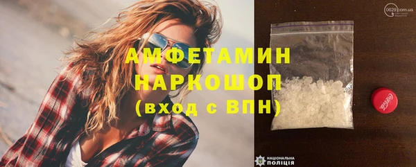 твердый Гусев